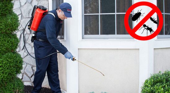 Çorlu Akrep İlaçlama böcek ilaçlama ve haşere kontrolü — ilaclama-tr.com